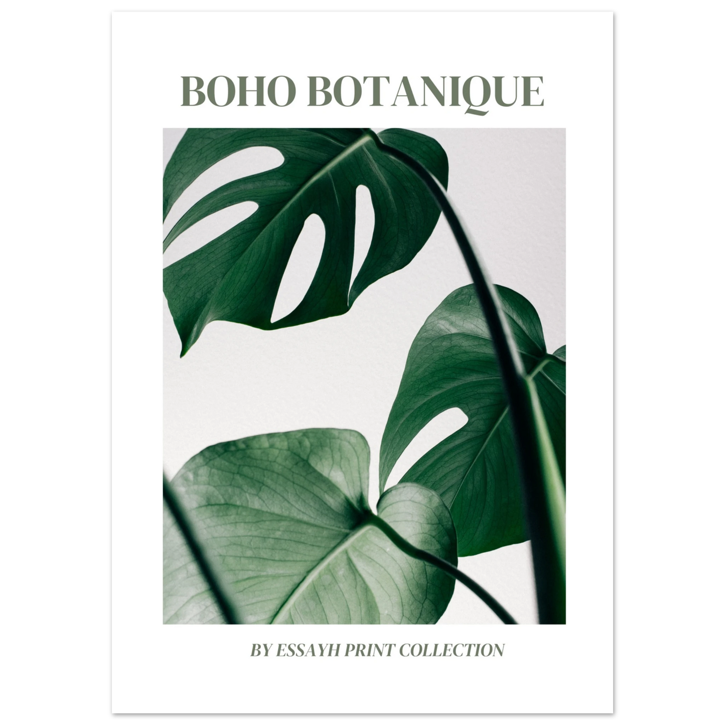 26244a8a-9f72-442e-9bae-0345565b7ac1